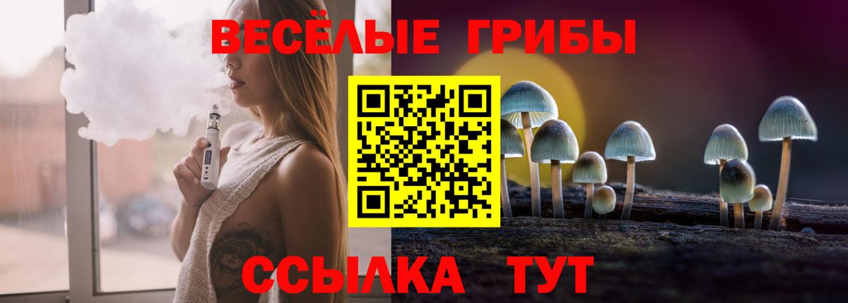 Усть-Джегута  Псилоцибиновые грибы MAGIC MUSHROOMS  Вход с VPN 